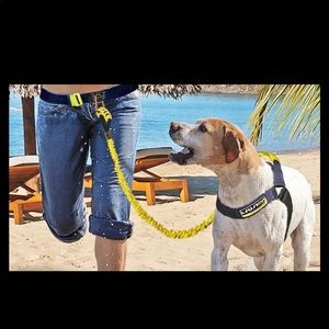 Hands Free Dog Leash